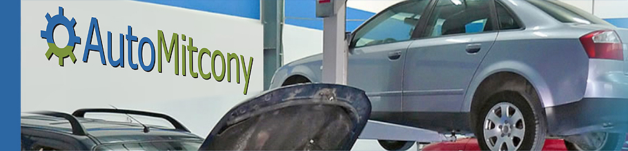AUTO MITCONY COM Logo