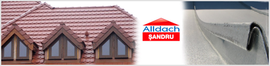 ALLDACHSERVICE Logo